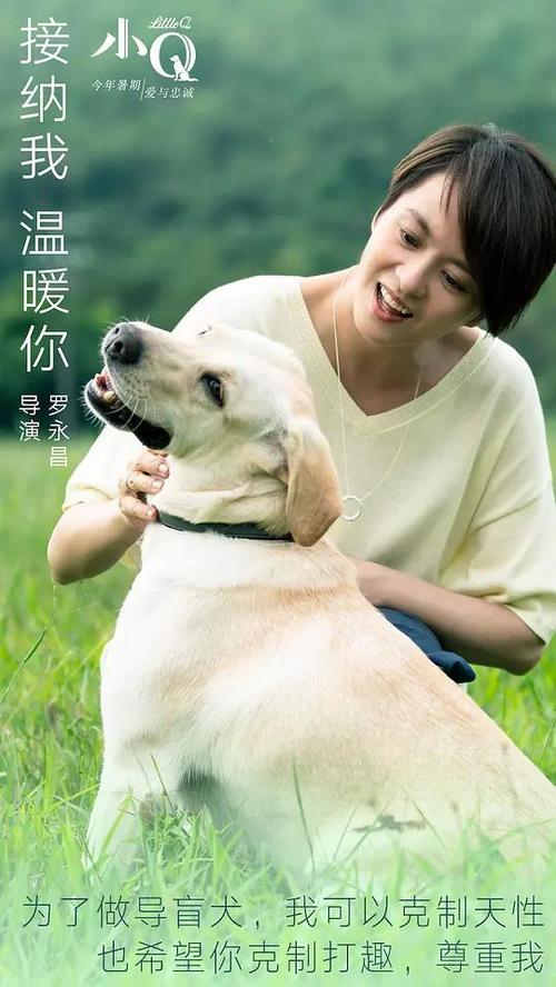 新泽西州二手车毕业证成绩单认证办理